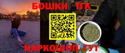 тгк Будённовск
