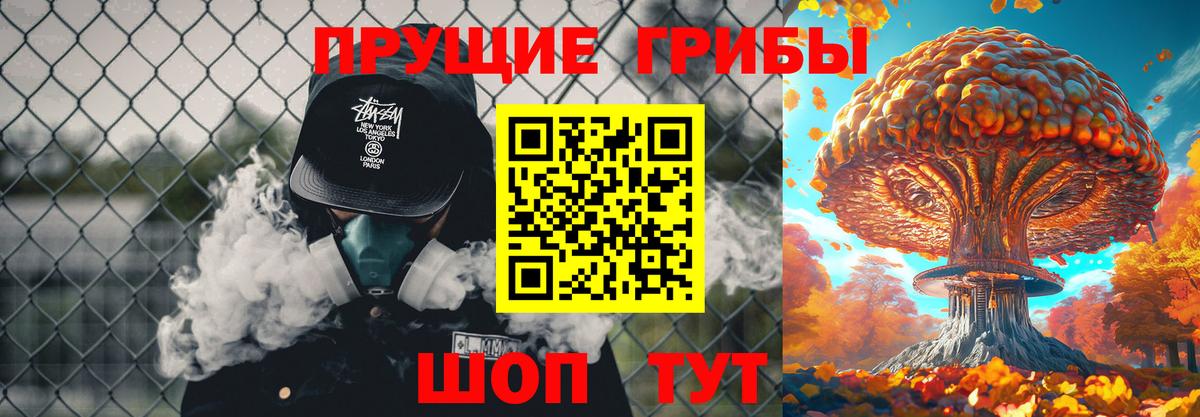Ржев  Псилоцибиновые грибы Psilocybe  Вход с VPN 