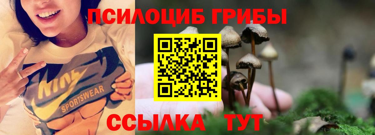 Галлюциногенные грибы мицелий Ржев
