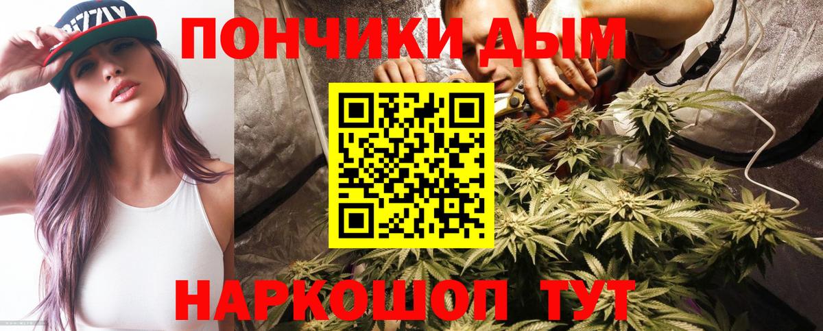 Конопля ГИДРОПОН  Вход с VPN  Канабис гибрид  Бошки марихуана гибрид  Ржев 